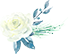 15345817673918.png 花.png